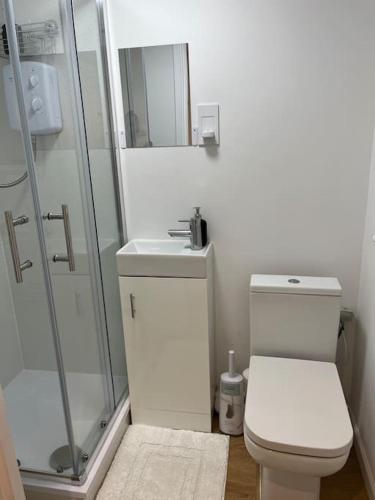 a bathroom with a shower and a toilet and a sink at Novanik Studio Apartment in Milton Keynes