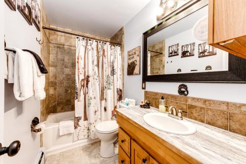 a bathroom with a sink and a toilet and a mirror at Mountain Love Views in Estes Park