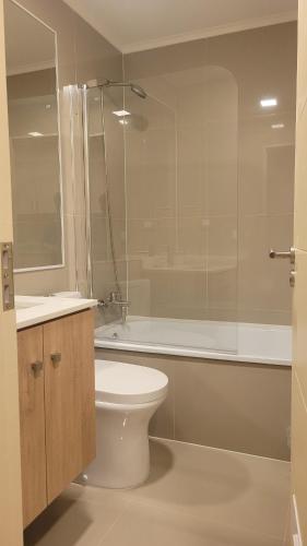 a bathroom with a toilet and a sink and a shower at dpto x día chillan 1411 in Chillán