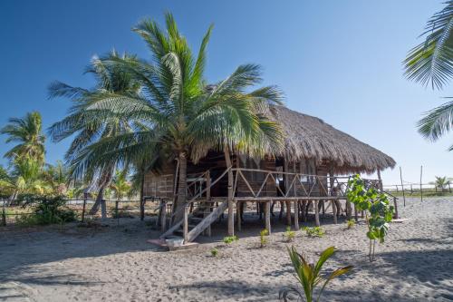 a hut on the beach with a palm tree at Cabañas Casa de Agua in Boca del cielo
