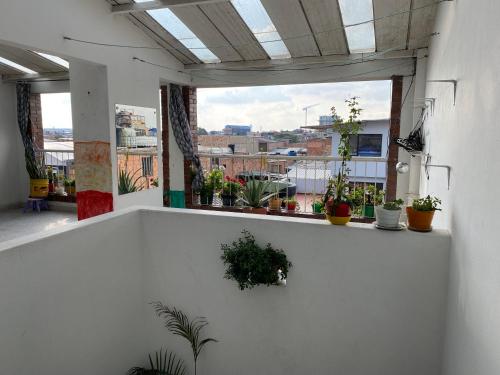 a white room with potted plants on a balcony at Stay In Bogota in Bogotá