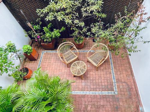 Elegant Palace in Parque 93 في بوغوتا: مجموعة من الكراسي والنباتات الفخارية على أرضية من الطوب