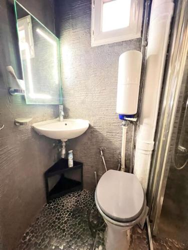 a bathroom with a white toilet and a sink at Charmant appartement près de Paris - L'Inaya in Maisons-Alfort