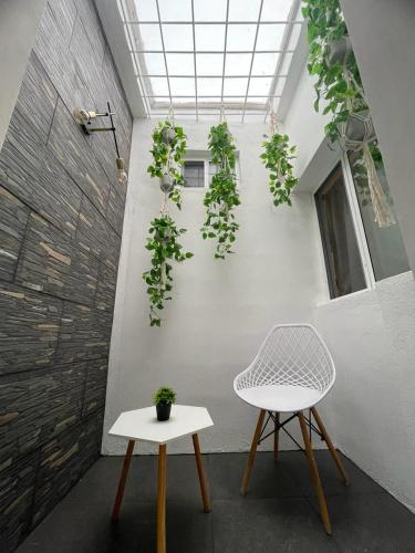 une chaise blanche à côté d'un mur blanc orné de plantes dans l'établissement Loft en Zona Tec, à Monterrey