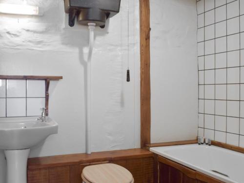 a bathroom with a toilet and a sink and a bath tub at Ty Ceffylau - Uk46190 in Llanybydder