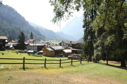 a village with a fence in a field with mountains at Hôtel Hermitage in Evolène