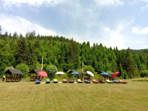 a group of chairs and umbrellas in a field at Casa Bradul Voronet in Gura Humorului