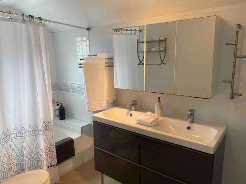 a bathroom with a sink and a shower curtain at Den Street Cottage in Los Alamos