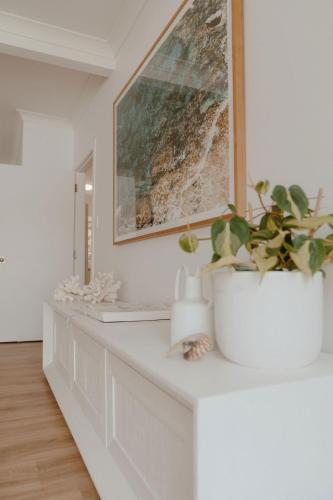 a white counter with a potted plant on it at The Cove Jervis Bay in Jervis Bay Village
