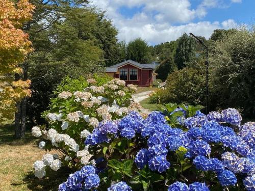 un jardín con flores azules y blancas frente a una casa en Casa acogedora en hermoso entorno Chiloe, en Rauco