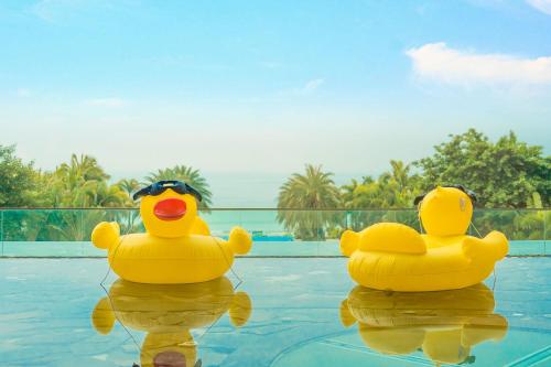dwie gumowe kaczki pływające na basenie w obiekcie DoubleTree by Hilton Shanwei w mieście Shanwei