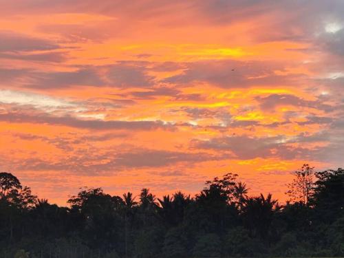 a sunset in the sky with trees in the foreground at Mai Paddy Cottage, Balik Pulau in Balik Pulau
