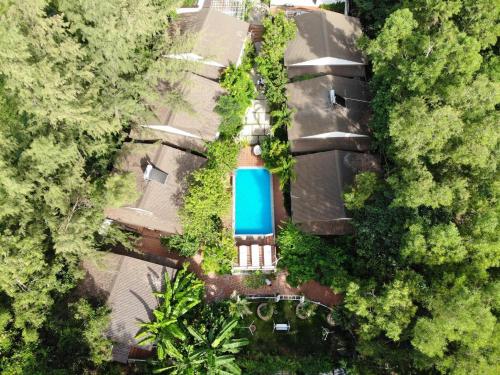 an overhead view of a house with a pool in the middle of the forest at Ngoc Hanh Bungalow Phu Quoc in Phu Quoc