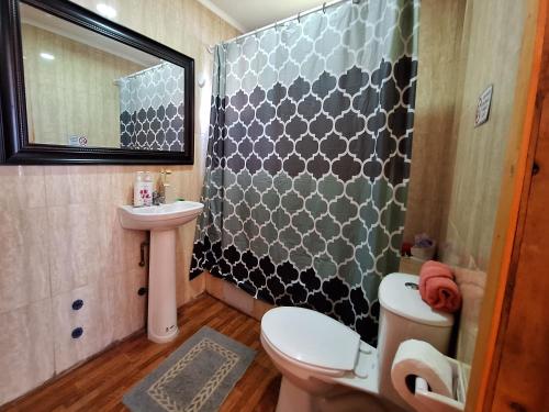 a bathroom with a toilet and a sink and a shower at Refugio cabañas Bosquemar 2 in Queilén