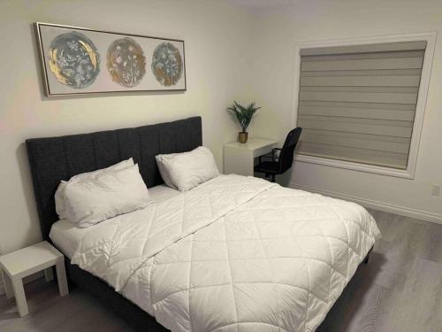 卡爾加里的住宿－Sun Light Kissed Cozy Suite - Modern Boho Paradise，卧室配有床、椅子和窗户。