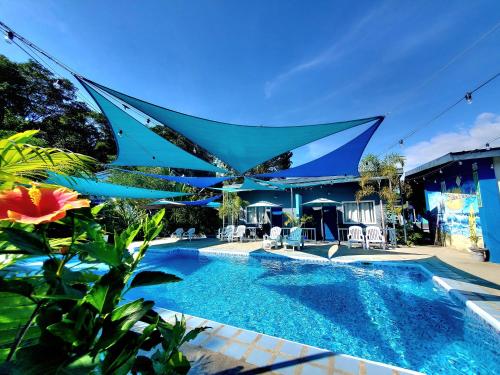 a swimming pool with a blue canopy over it at Hidden Palms Inn & Resort Quadruple in San Juan