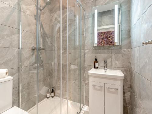 a bathroom with a shower and a toilet and a sink at Rabbit Meadow - Uk46235 in Usk