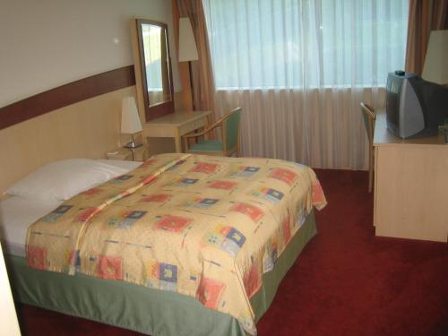 プラハにあるOlympik Artemisのベッドとテレビが備わるホテルルームです。
