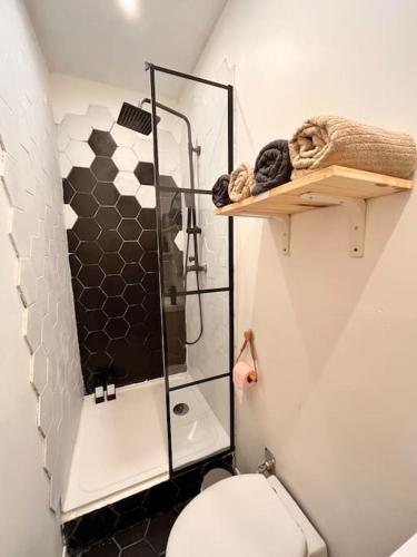 une petite salle de bain avec douche et toilettes dans l'établissement Cosy appartment close to train station, Paris and CDG airport, à Aulnay-sous-Bois