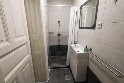 La petite salle de bains est pourvue d'une douche et d'un lavabo. dans l'établissement Pest-port apartment room-5 Private apartment, à Budapest