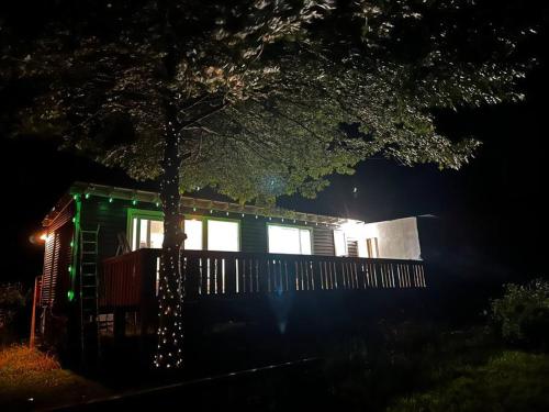 a house with a tree in front of it at night at Tiny house at Gilderoy Valley Views in Yarra Junction