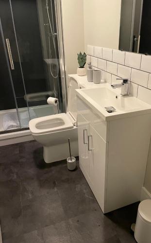 a bathroom with a toilet and a sink and a shower at Poplar House by ShortStays4U 2Bedroom house in town centre with free Parking! in King's Lynn