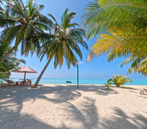 a beach with two palm trees and the ocean at Ever Blue Guest House in Mathiveri