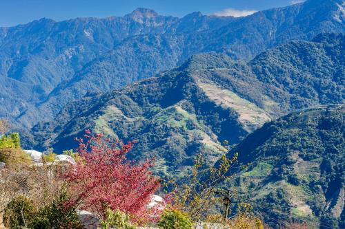 a view of a mountain range with a red tree at Water Swing B&B in Renai