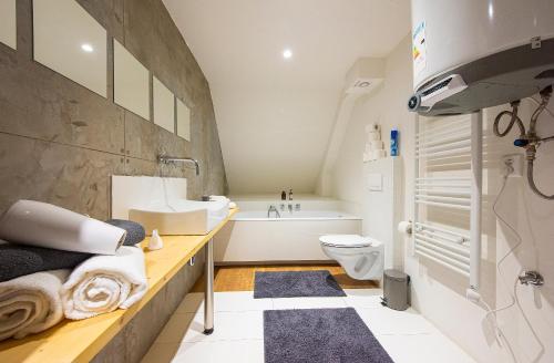 a bathroom with a sink and a toilet and a tub at Elevante Residence in Poprad