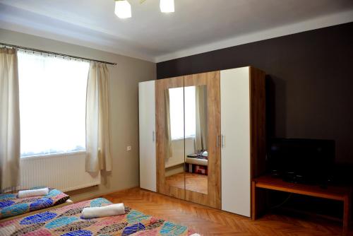 TV a/nebo společenská místnost v ubytování Apartmány Alice