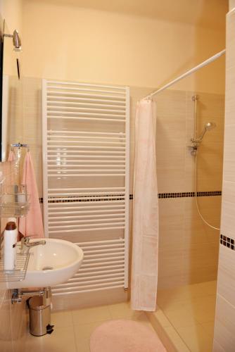 Koupelna v ubytování Apartmány Alice