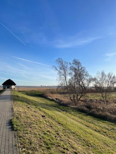 a walkway next to a grassy field with a blue sky at Ferienhaus Kaptein Meyer in Zingst