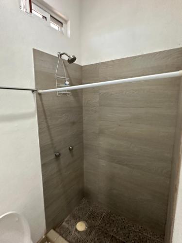 a shower with a shower head in a bathroom at Departamento Diegos cabo in Cabo San Lucas