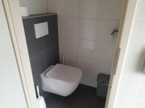 ein kleines Bad mit einem weißen WC in der Unterkunft t'Hoog Holt in Gramsbergen