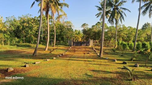 RannaAntique Villa的相册照片