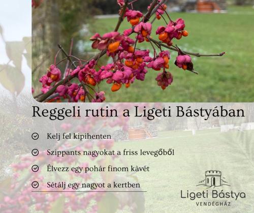 Φωτογραφία από το άλμπουμ του Ligeti Bástya Vendégház σε Liget