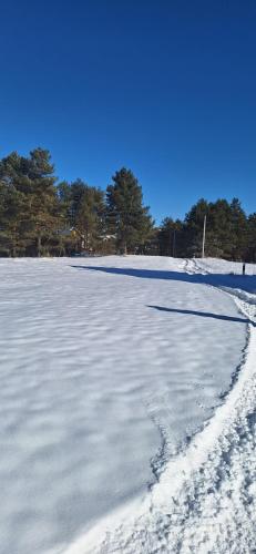 Apartman Narcis Polje en invierno