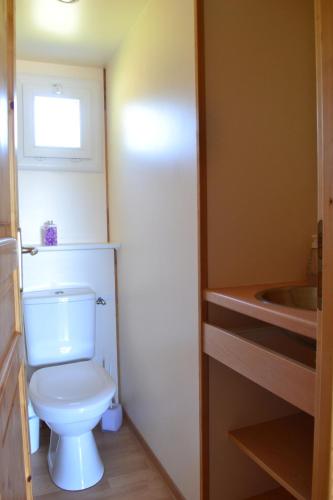 ベナにあるChalet grand confortの小さなバスルーム(トイレ、シンク付)