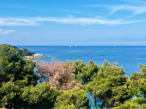 an island in the middle of the ocean at Villa Contessa - Top 200 ultra luxury world villas in Mali Lošinj