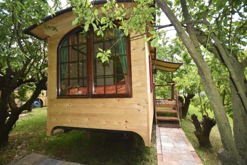 a tree house with a window in a tree at terrebio bungalow in Visnadello