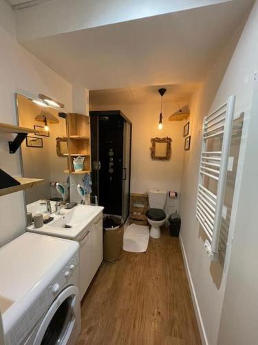 a bathroom with a sink and a toilet in it at Studio cosy tout confort - Le Drouvenant in Clairvaux-les-Lacs