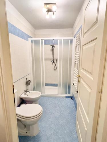 a bathroom with a toilet and a shower at Cavour 3 - Monolocale luminoso a due passi dalla Torre in Pisa
