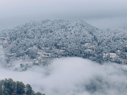 a mountain covered in trees and a city in the fog at Staynest Mashobra with balcony- A peacefull stay in Shimla