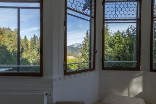 a room with windows with a view of trees at Villa Schönthaler in Semmering