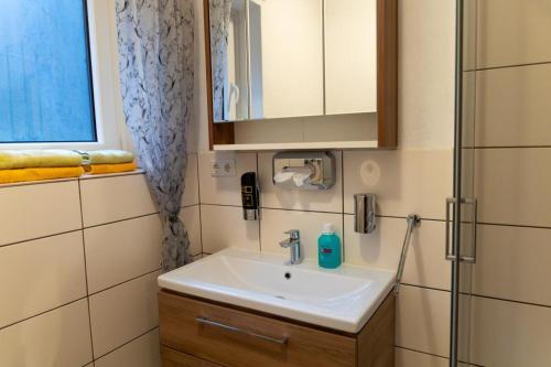 ein Badezimmer mit weißem Waschbecken und Fenster in der Unterkunft NEU! Reiterhof Finkenmühle Fewo Gipsy in Weißenstadt