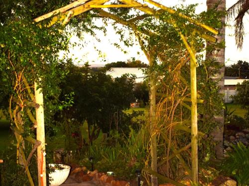 a wooden pergola in a garden with a yard at The Palms Albertinia in Albertinia