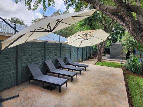 Κήπος έξω από το Livingstone Lodge