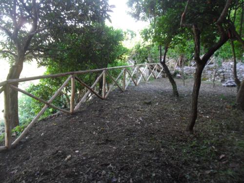 a wooden bridge in a forest with trees at Palazzo Gentilizio de Maffutiis in Auletta