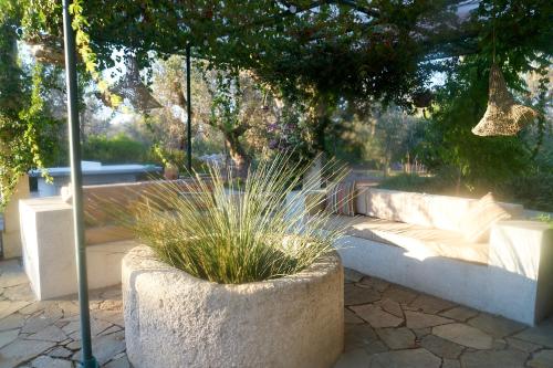 a large concrete planter with a plant in it at Elegant modern Villa in olive grove in Surano