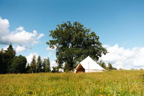 a large white tent in a field with a tree at Glamping in Småland in Eksjö